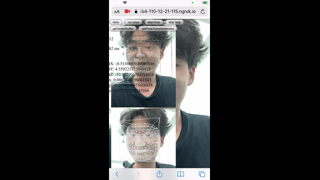 Custom MediaPipe Pipeline & WASM Porting