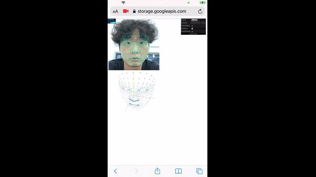 Custom MediaPipe Pipeline & WASM Porting